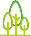 Cluster of trees